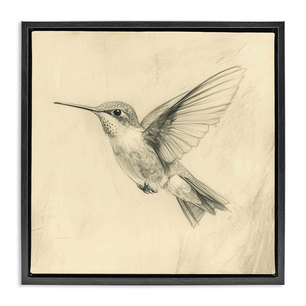 Stupell Industries Vintage Hummingbird Sketch Floating Frame, design by Petal Prints Design